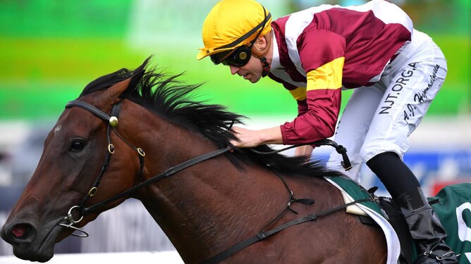 Shout The Bar. Photo: AAP
