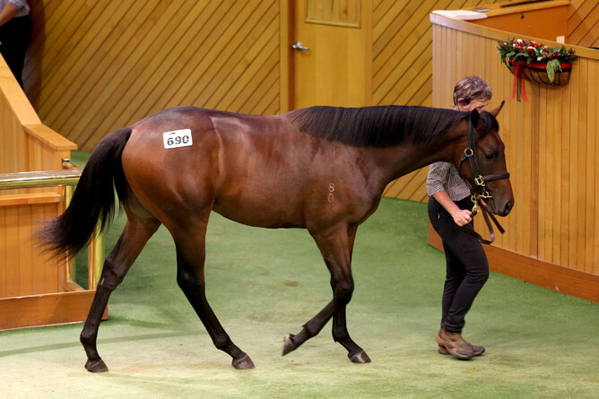 Paul Moroney purchased lot 690, the Time Test colt out of HGT Bloodstock’s draft, for $110,000. Photo: Trish Dunell International bloodstock agent Paul Moroney. Photo: Trish Dunell