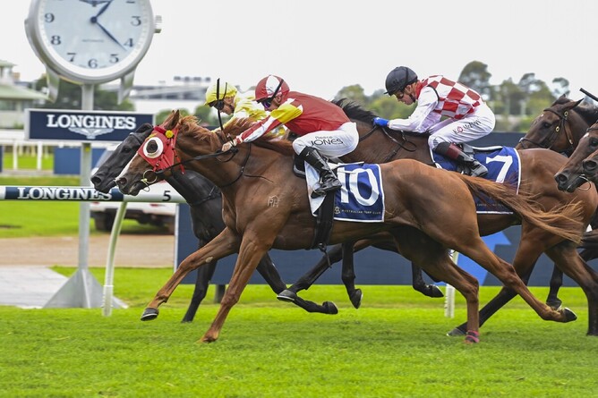 The Kerry Taplin trained Tapildoodledo (outside) lands the Gr.2 Tulloch Stakes (2000m) at Rosehill on Saturday - Photo: bradleyphotos.com.au