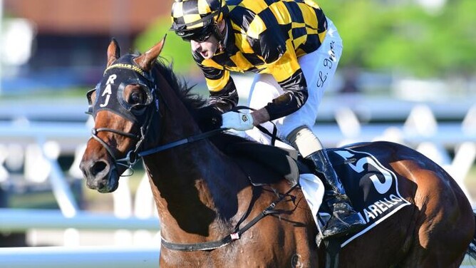 Leith Innes guides Pinarello to a stunning victory in the Gr.1 Queensland Derby (2400m) at Eagle Farm  - Photo: Grant Peters – Trackside Photography