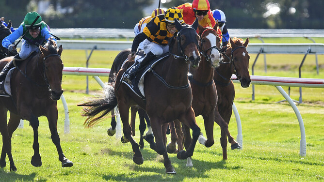 Bella Waters winning the Listed Campbell Infrastructure Rotorua Cup (2200m) at Arawa Park on Saturday.  - Photo: Kenton Wright (Race Images)