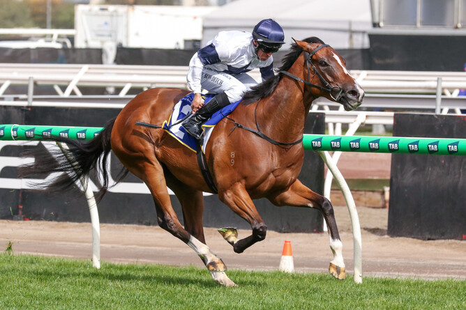 Fancify winning the Gr.3 The Hong Kong Jockey Club Stakes (1400m) on Melbourne Cup Day at Flemington. - Photo: Bruno Cannatelli