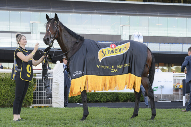 Tofane (Ocean Park - Baggy Green) - after winning the Gr.1 All Aged Stakes
