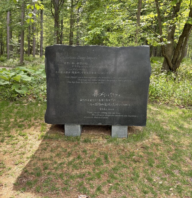 The headstone and burial site of the legendary Deep Impact.