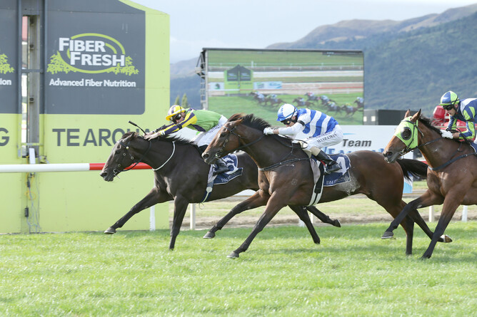 Nicoletta on her way to winning the 2019 NZ Thoroughbred Breeders' Stakes - Trish Dunell