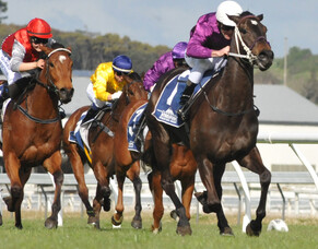 Burgundy's second Stakes winner