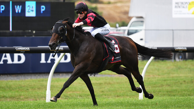 Sam Weatherley drives Maria Farina to victory in the Gr.3 Haunui Farm King’s Plate (1200m) at Ellerslie. - Photo: Kenton Wright (Race Images)