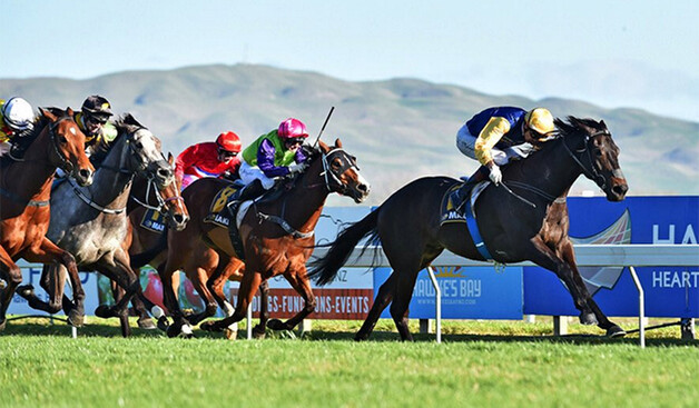Kawi - Hawkes Bay Challenge Stakes  Pic:  Race Images