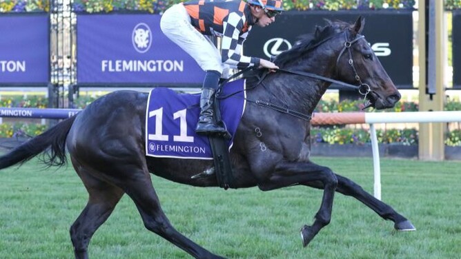 Texas Tea cruises home at Flemington  - Photo: Bruno Cannatelli