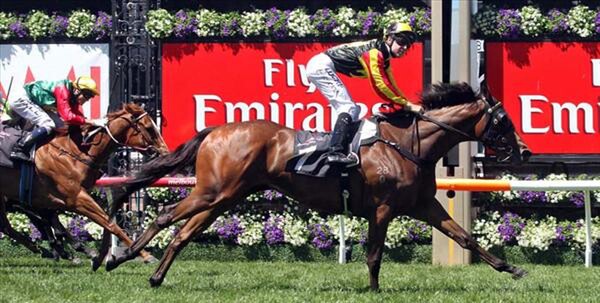 Kirramosa easily wins the WakefulStakes on opening day of the Melbourne Cup Carnival - Photo NZTM website