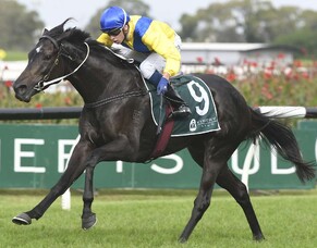 Hiyaam's Group One Success a New Zealand Breeders' windfall