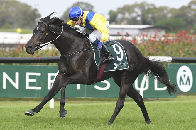 Hiyaam winning the G1 Vinery Stud Stakes