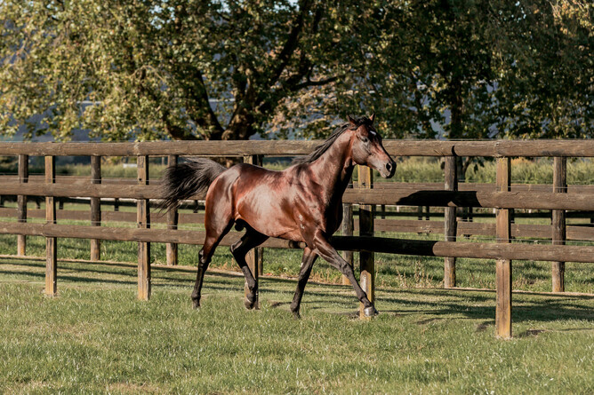 Ardrossan - Photo: Nicole Troost