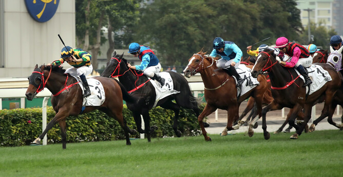 NZ bred Furore winning the Hong Kong Derby - picture HKJC