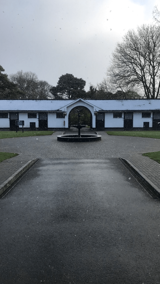 Sun Chariot dusted with snow