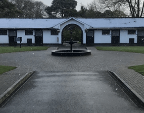 Cameron Ring Blog - Irish National Stud, March 2017