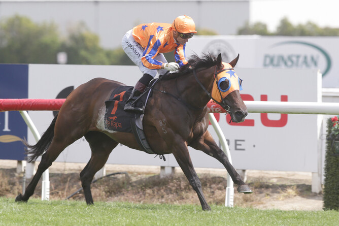Opie Bosson cuddles up Avantage as she cruises to the line at Te Rapa to win the Gr.1 BCD Group Sprint (1400m) Photo Credit: Trish Dunell