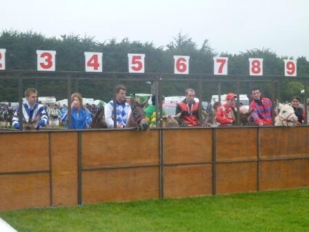 A whole new type of racing as we wait for the gate to fall in the Clonmel Show Donkey Derby.