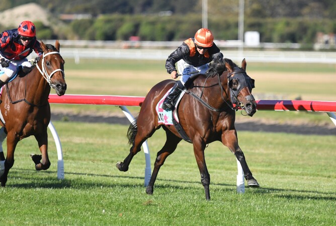 Mehzebeen winning the Listed Hawke’s Bay Cup (2200m).  - Photo: Peter Rubery (Race Images)