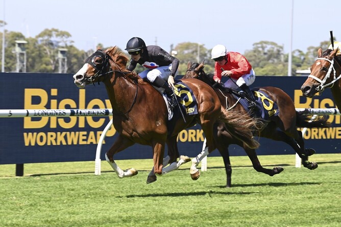 Gin Martini is too strong in the Gr.3 Epona Stakes (1900m) at Rosehill - Photo: Bradleyphotos.com.au
