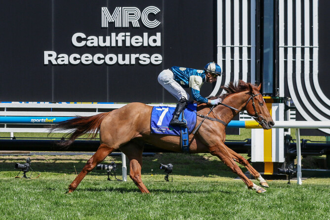 Jimmysstar was an impressive winner of the Listed Weekend Hussler Stakes (1400m) at Caulfield on Saturday. - Photo: Bruno Cannatelli