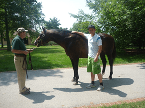 Matt&#039;s Blog - October 2011