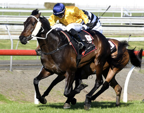 Vernanme takes Pukekohe feature