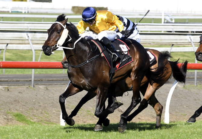 Classy customer Vernanme races to victory at Pukekohe - Kenton Wright, Race Images