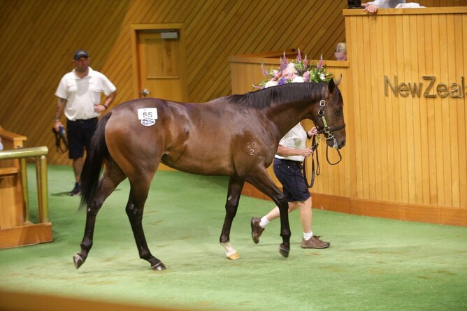 Jamie Richards went to $725,000 to secure Lot 55 on Day One at Karaka. - Photo: Trish Dunell