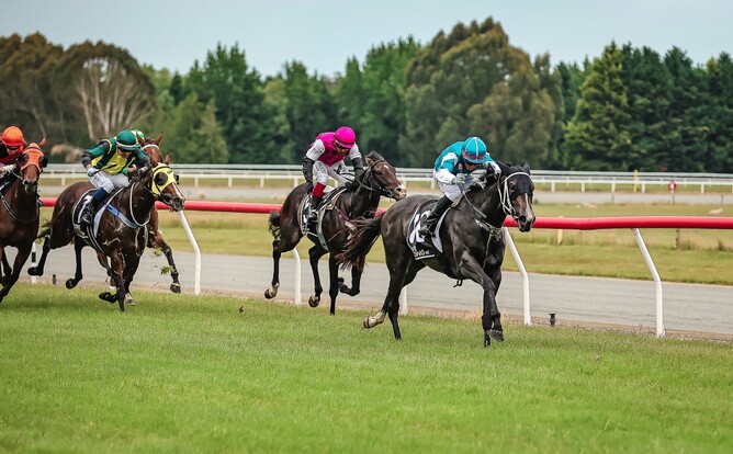 Listed NZB Airfreight Stakes (1400m) winner Drakaina striding to a commanding maiden win last December. - Photo: Monica Toretto