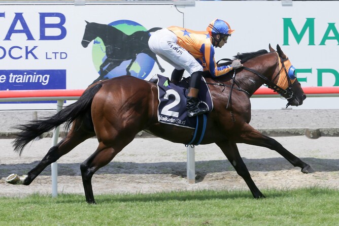 Sword Of State provides Troy Harris with an armchair ride as he cruises home to win the Gr.3 Waikato Stud Slipper (1200m) at Matamata Photo Credit: Trish Dunell