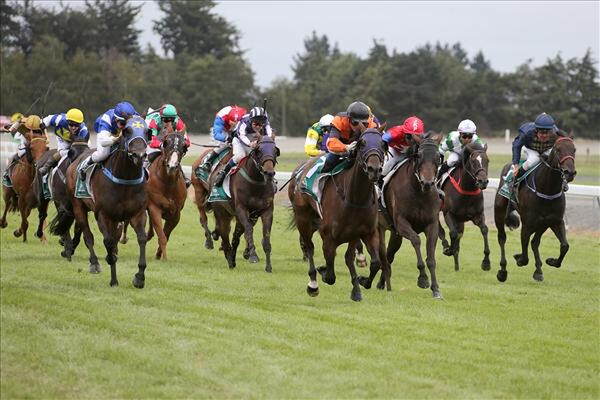 Madam Victoria wins the Timaru Stakes 30/1/16 - Photo courtesy of Race Images Christchuch