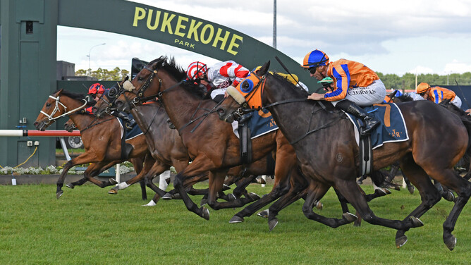 Final Return clings on to win the Gr.3 MyRacehorse Counties Cup (2100m) in a blanket finish. - Photo: Kenton Wright (Race Images)
