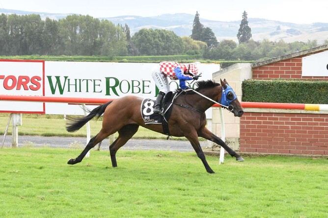 Loftys Gift winning the Listed Dunedin Gold Cup (2400m)