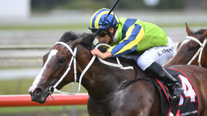 Ardalio winning at Pukekohe on Saturday. - Photo: Kenton Wright (Race Images)