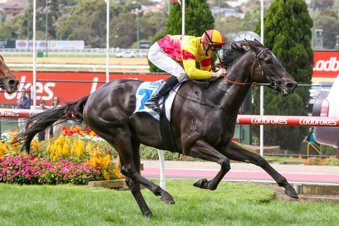 Eternal Flame scores her second consecutive black-type win when taking out the Gr.2 Sunline Stakes at The Valley - Photo: Bruno Cannatelli