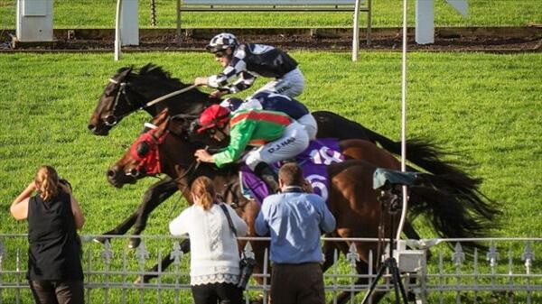 Pondarosa Miss (nearest camera) edges ahead in a thrilling finish to the $200,000 Manco Easter Handicap at Ellerslie on Saturday with runner-up Vespa (centre) and Kawi storming home on the inside of the track. - (David Mackay/Phototek)