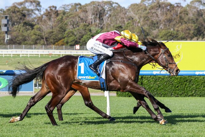 Evaporate winning the Gr.3 Sandown Stakes (1500m) at Sandown on Saturday. - Photo: Bruno Cannatelli