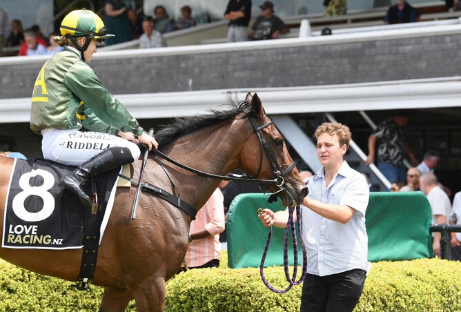 Josh Herd, the 2025 recipient of the Sunline Trust International Management Scholarship - Photo: Supplied