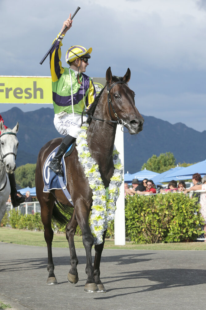 The Goodwood Stud bred Nicoletta (Savabeel - Celtic Crown) after taking the G1 Fiber Fresh NZ Thoroughbred Breeders Stakes - photo Trish Dunell