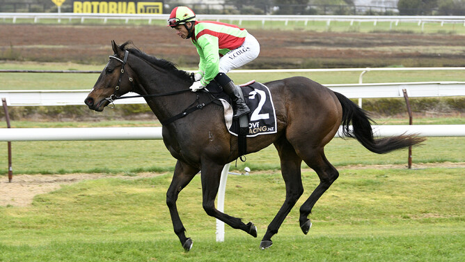 Twain and Vinnie Colgan return to the birdcage after winning Sunday's Gr.3 Sweynesse Stakes (1215m) at Arawa Park.  - Photo: Kenton Wright (Race Images)