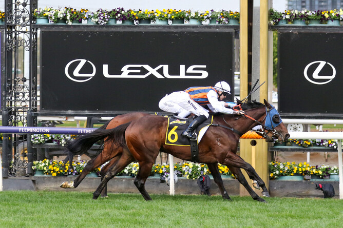 Dolphin Skin winning the Listed Taj Rossi Series Final (1600m) at Flemington - Photo: Bruno Cannatelli