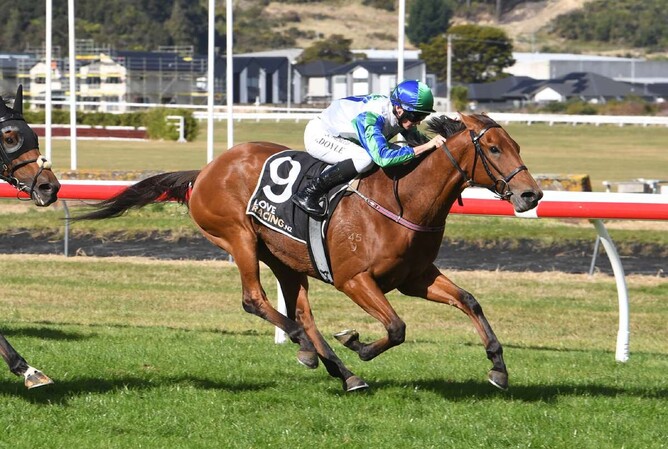 Joe Doyle drives Nereus to victory in the Gr.2 City Of Palmerston North Awapuni Gold Cup (2100m) at Trentham on Saturday.  - Photo: Race Images PN