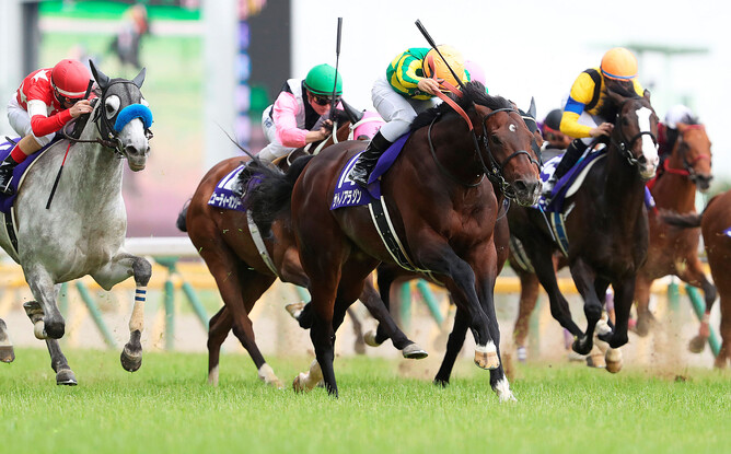 Satono Aladdin to make deep impact at Rich Hill | New Zealand ...