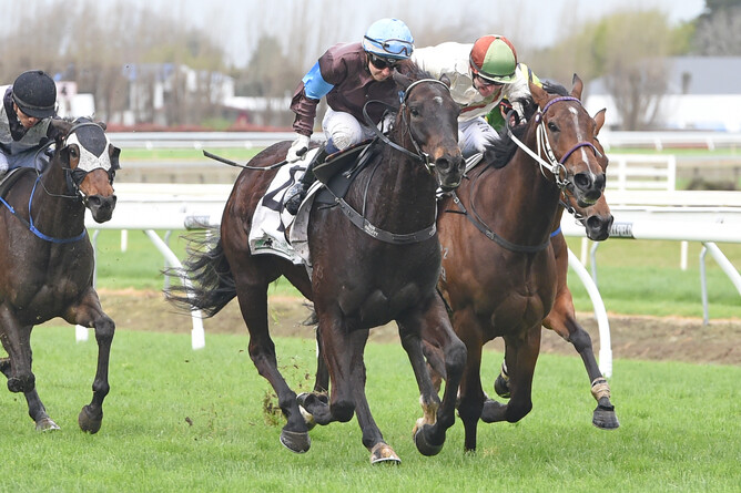 Dolcetto - winner of the Group Three Marton JC Metric Mile Pic: Race Images