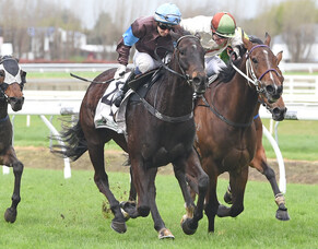 Exciting times for Syliva and Paddy Kay