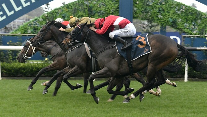 Kiwi Skyhawk winning the Gr.3 Trelawney Stud Championship Stakes (2100m) at Ellerslie on Saturday.  - Photo: Kenton Wright (Race Images)
