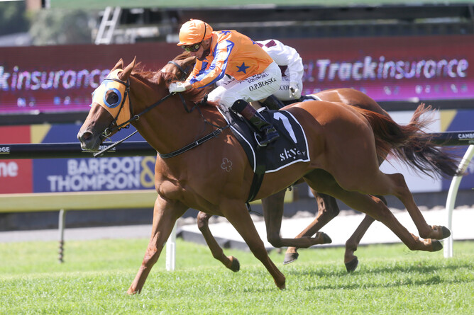 Need I Say More extends his winning record with victory in the Listed Fasttrack Mufhasa Stakes (1300m) Photo: Trish Dunell