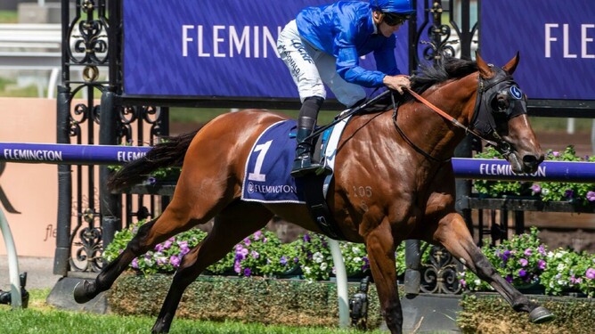 A service to Darley’s exciting stallion Microphone will be sold to raise funds for the CatWalk Trust via online auction Gavelhouse Plus.  Photo: supplied