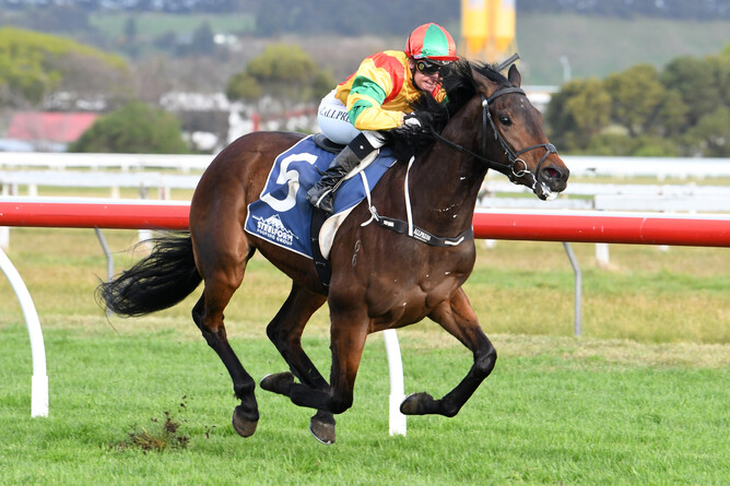 Cooga Doon (Makfi(GB) - Monachee) wins the Listed HS Dyke Whanganui Guineas - photo Racing Images Peter Rubery